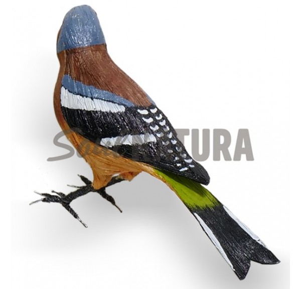 PINZON - PAJARO PITA - Imagen 4