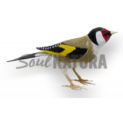 JILGUERO - SOUL NATURA - Imagen 5