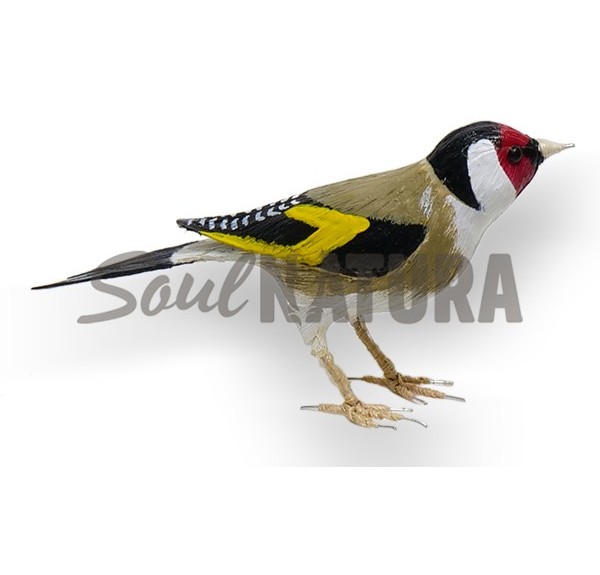 JILGUERO - SOUL NATURA - Imagen 5