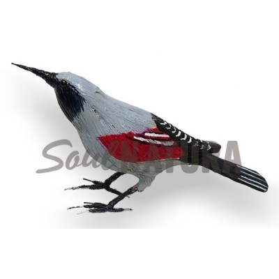 TREPARRISCOS (PÁJARO DE PITA) - Imagen 1