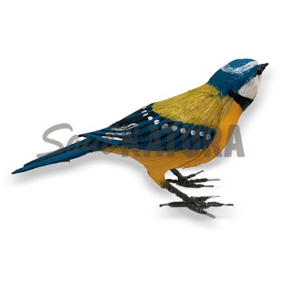 HERRERILLO (PÁJARO DE PITA) - Imagen 2