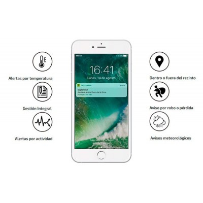 LOCALIZADOR-GPS-PARA-PERROS - Imagen 3