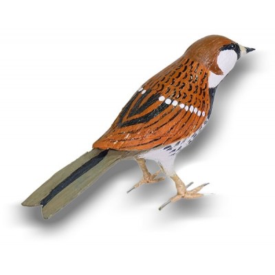 GORRIÓN MORUNO (PÁJARO DE PITA) - Imagen 3