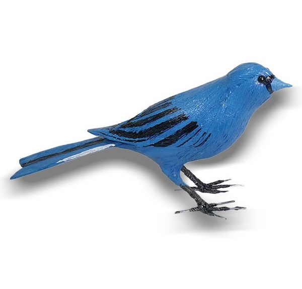 PINZÓN AZUL (PÁJARO DE PITA) - Imagen 2