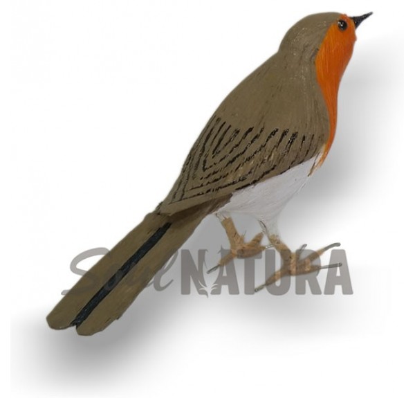 PETIRROJO (PÁJARO DE PITA) - Imagen 1