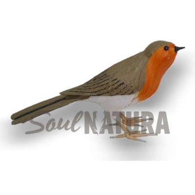 PETIRROJO (PÁJARO DE PITA) - Imagen 2