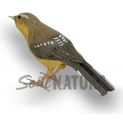 MOSQUITERO CANARIO (PÁJARO DE PITA) - Imagen 1