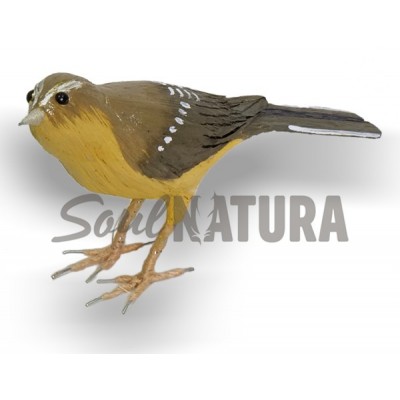 MOSQUITERO CANARIO (PÁJARO DE PITA) - Imagen 3