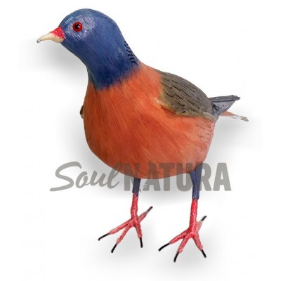 PALOMA-TURQUE-PAJARO-CANARIO - Imagen 1