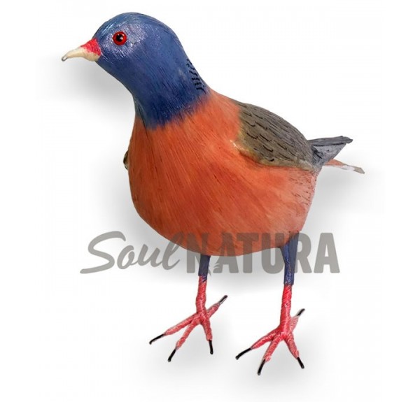 PALOMA-TURQUE-PAJARO-CANARIO - Imagen 1