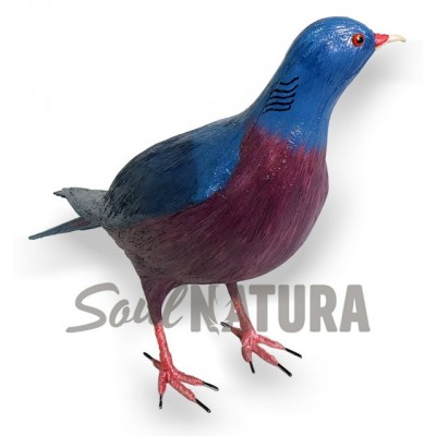 PALOMA-RABICHE-PAJARO-PITA - Imagen 3