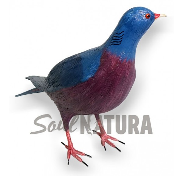 PALOMA-RABICHE-PAJARO-PITA - Imagen 3