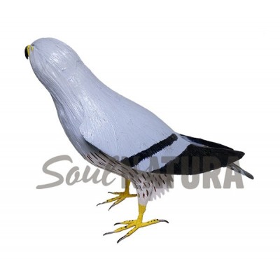 AGUILUCHO CENIZO (Circus pygargus) Pájaro de PITA - Imagen 2