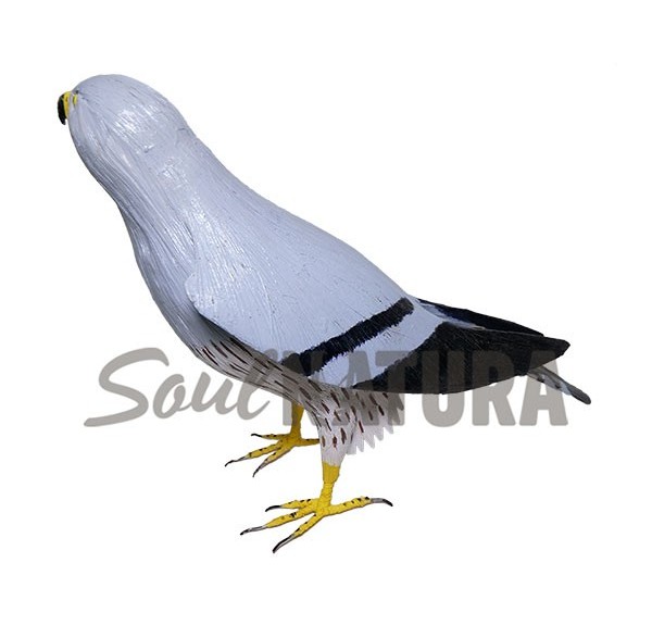 AGUILUCHO CENIZO (Circus pygargus) Pájaro de PITA - Imagen 2