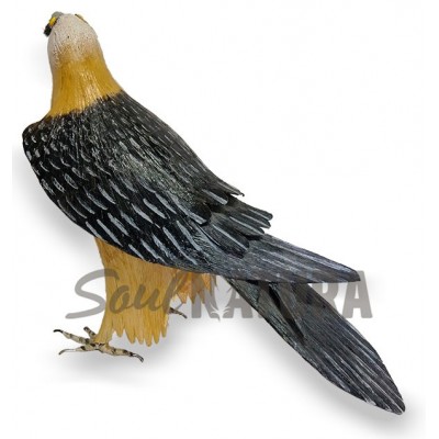 QUEBRANTAHUESOS SOUL NATURA - Imagen 2