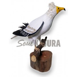 ALIMOCHE (Neophron percnopterus) Pájaro de PITA - Imagen 1