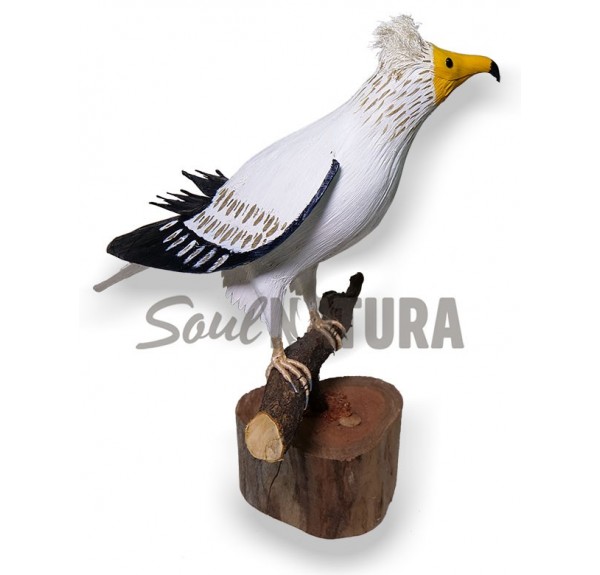 ALIMOCHE (Neophron percnopterus) Pájaro de PITA - Imagen 1