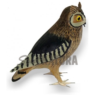 AUTILLO (PÁJARO DE PITA) - Imagen 2