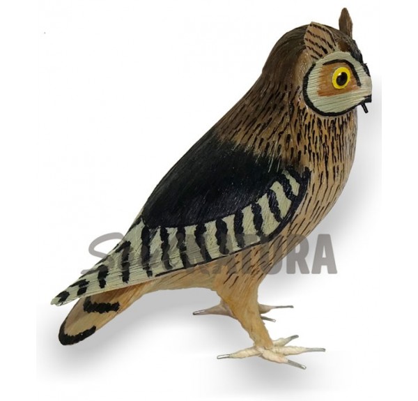 AUTILLO (PÁJARO DE PITA) - Imagen 2