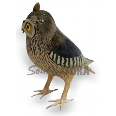 AUTILLO (PÁJARO DE PITA) - Imagen 3