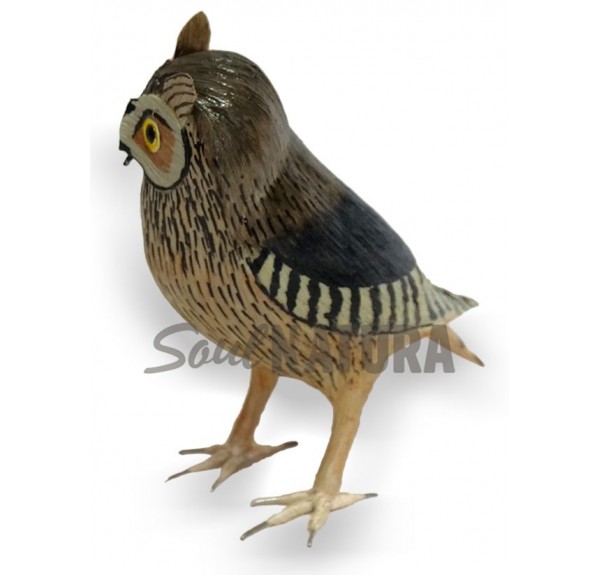 AUTILLO (PÁJARO DE PITA) - Imagen 3