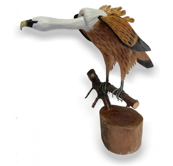 REPLICA BUITRE LEONADO - Imagen 2