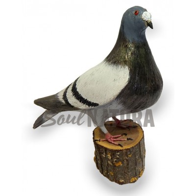 PALOMA BUCHONA Pájaro de PITA - Imagen 2