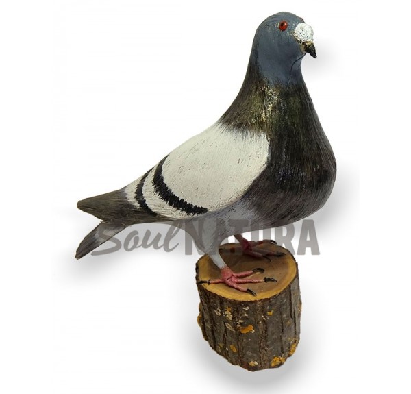 PALOMA BUCHONA Pájaro de PITA - Imagen 2