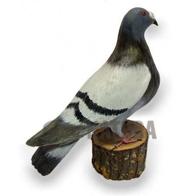 PALOMA BUCHONA Pájaro de PITA - Imagen 3