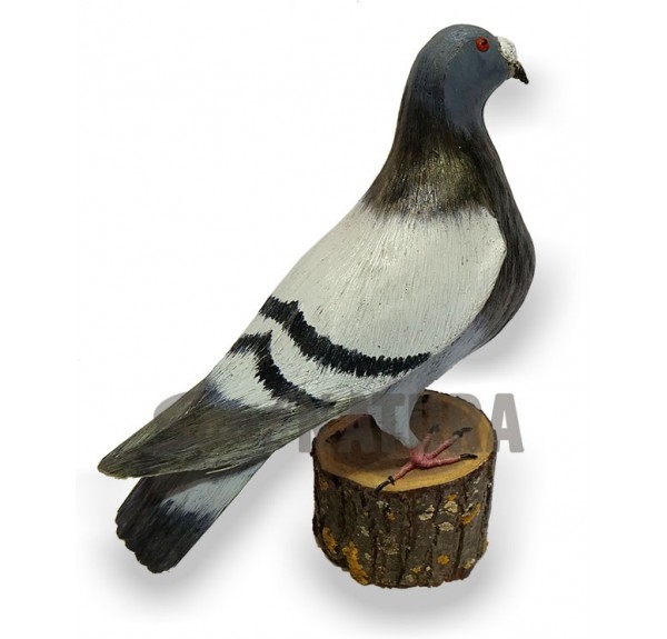 PALOMA BUCHONA Pájaro de PITA - Imagen 3