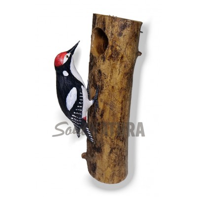 PICO PICAPINOS EN TRONCO - Imagen 2