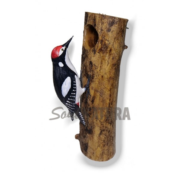 PICO PICAPINOS EN TRONCO - Imagen 2