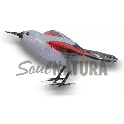 TREPARRISCOS-ALAS-ABIERTAS-PITA - Imagen 1