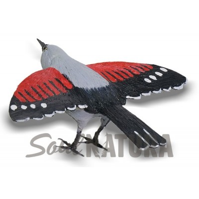 TREPARRISCOS-ALAS-ABIERTAS-PITA - Imagen 2