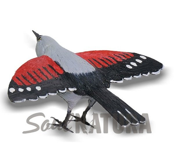 TREPARRISCOS-ALAS-ABIERTAS-PITA - Imagen 2