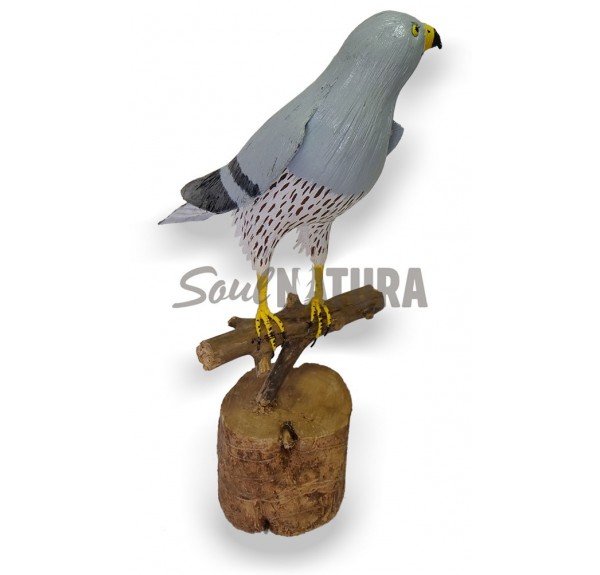 AGUILUCHO-CENIZO-SOUL-NATURA - Imagen 4