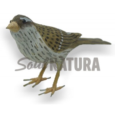 GORRION-CHILLON - Imagen 1