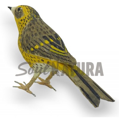 VERDECILLO-Serinus serinus - Imagen 2