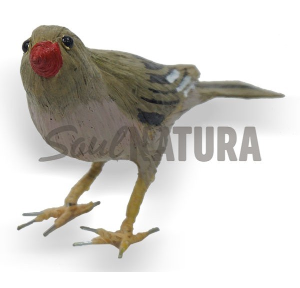 CAMACHUELO TROMPETERO (Bucanetes githagineus) Pájaro de PITA - Imagen 1