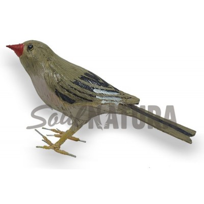 CAMACHUELO TROMPETERO (Bucanetes githagineus) Pájaro de PITA - Imagen 2