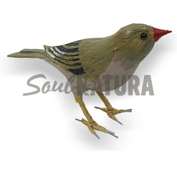 CAMACHUELO TROMPETERO (Bucanetes githagineus) Pájaro de PITA - Imagen 1