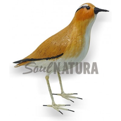 CORREDOR SAHARIANO REPLICA - Imagen 2