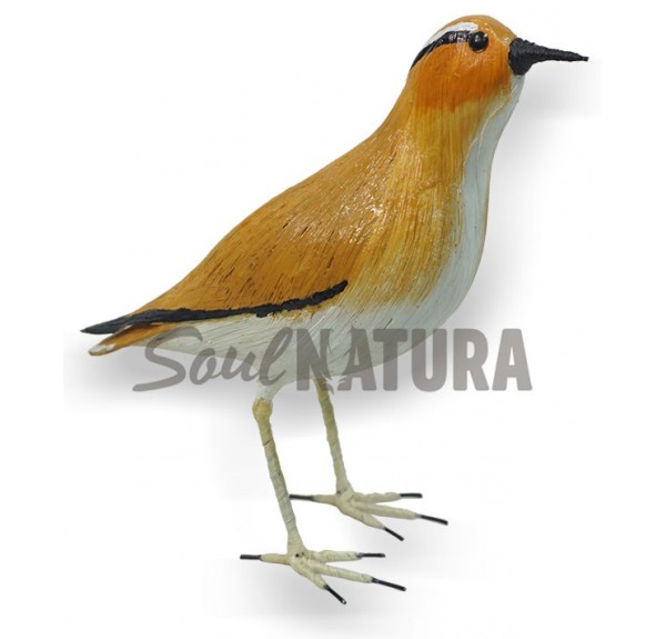 CORREDOR SAHARIANO REPLICA - Imagen 2