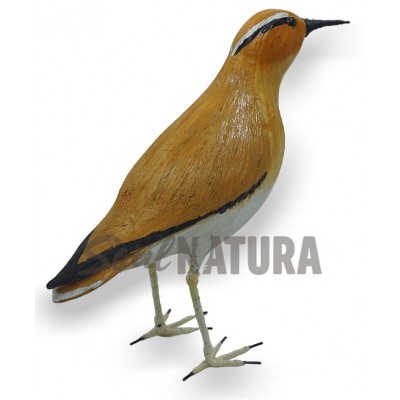 CORREDOR SAHARIANO REPLICA - Imagen 3