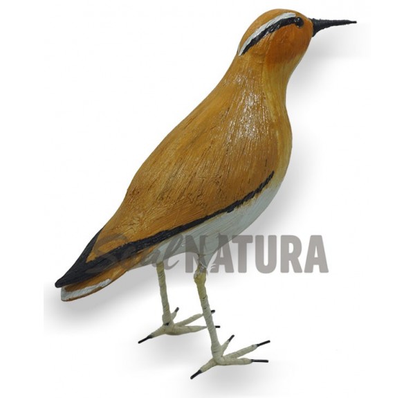 CORREDOR SAHARIANO REPLICA - Imagen 3