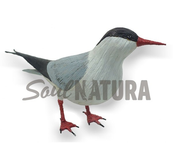 REPLICA-CHARRAN-COMUN - Imagen 2