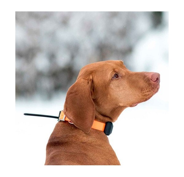 LOCALIZADOR PERROS GPS DOGTRACE X30 - Imagen 4