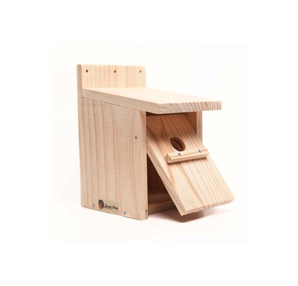 CAJA NIDO PARA CLAVAR - Imagen 3