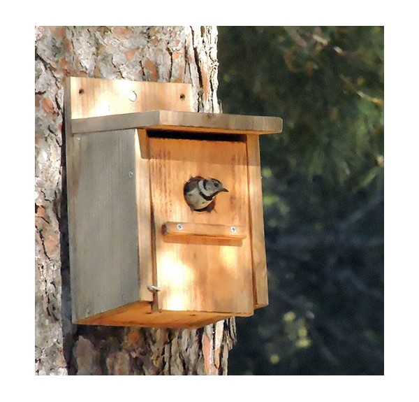 CAJA NIDO PARA CLAVAR - Imagen 2