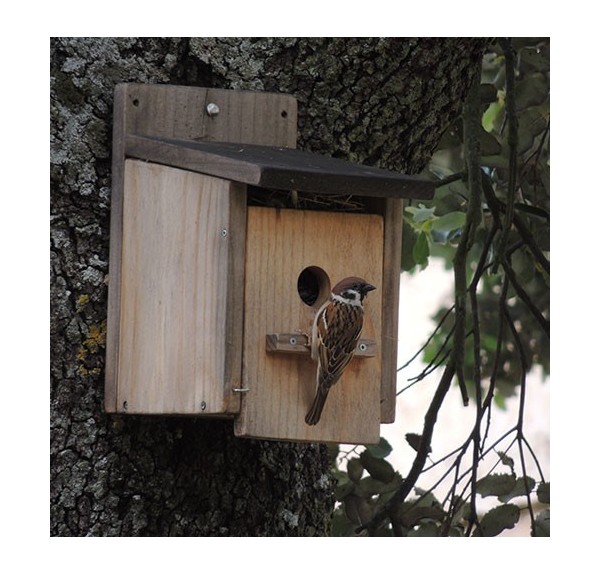 CAJA NIDO PARA CLAVAR - Imagen 4